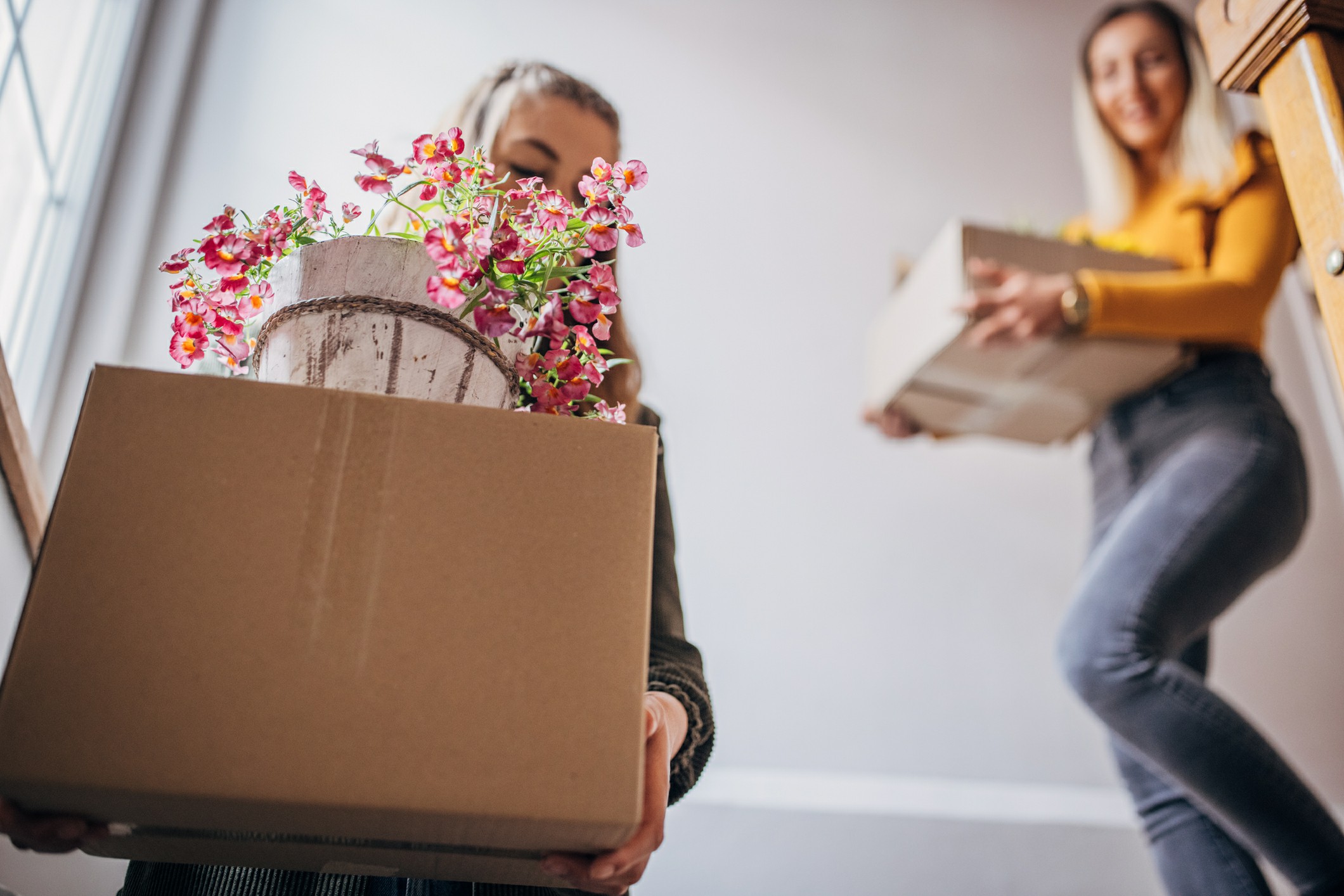 Securing Your Belongings: New Year Moving Insurance